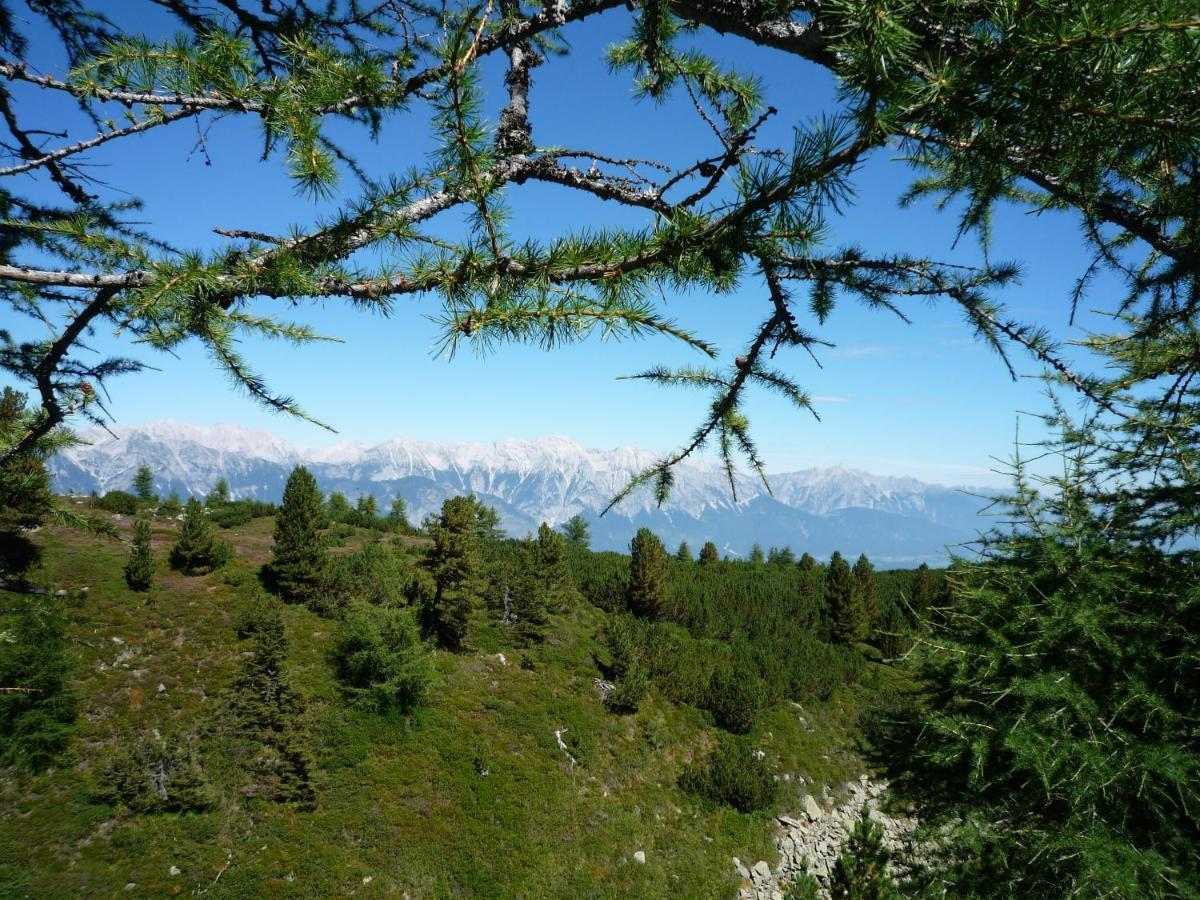 Gaestehaus Weber Oberperfuss Dış mekan fotoğraf