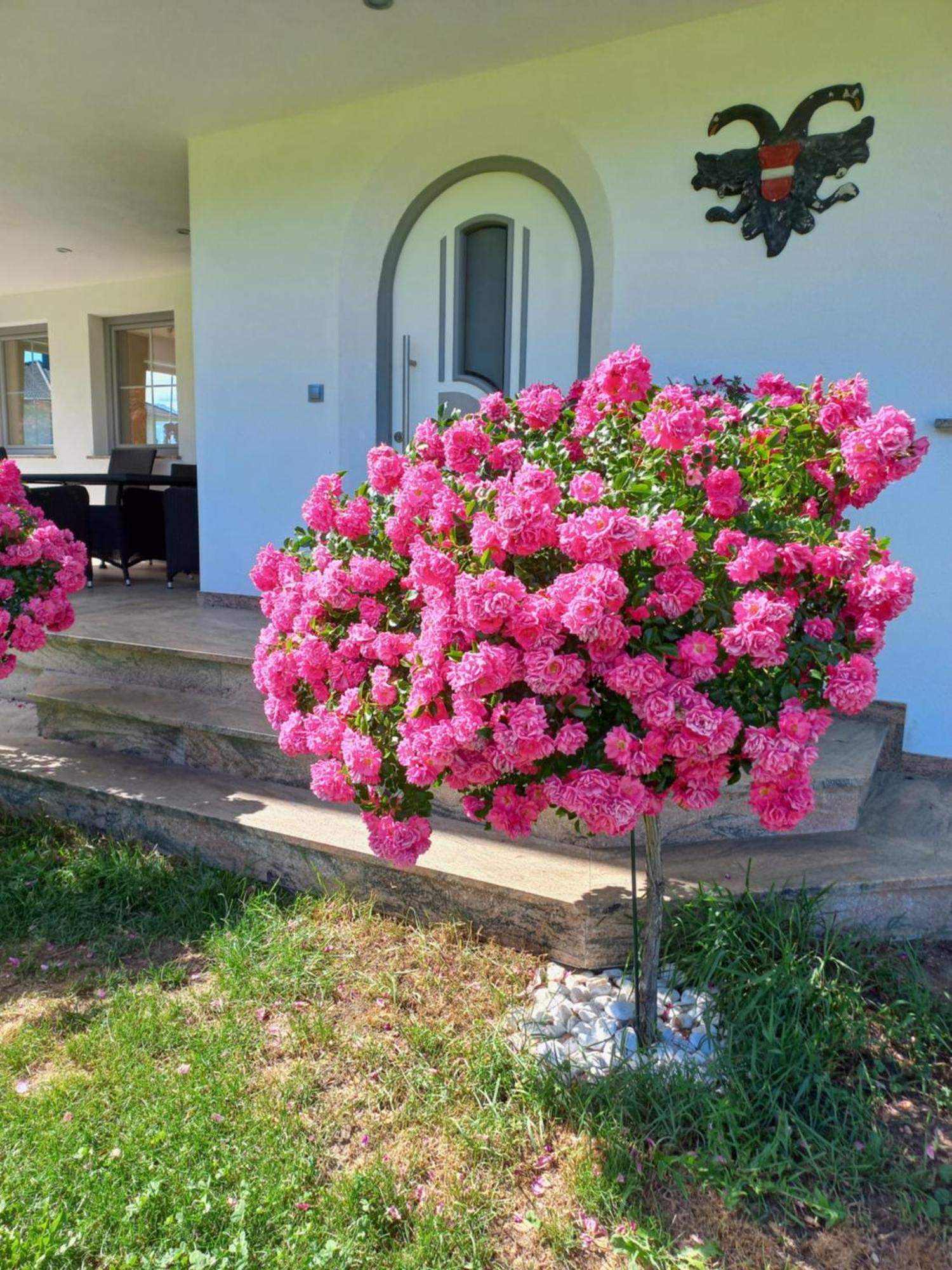 Gaestehaus Weber Oberperfuss Dış mekan fotoğraf