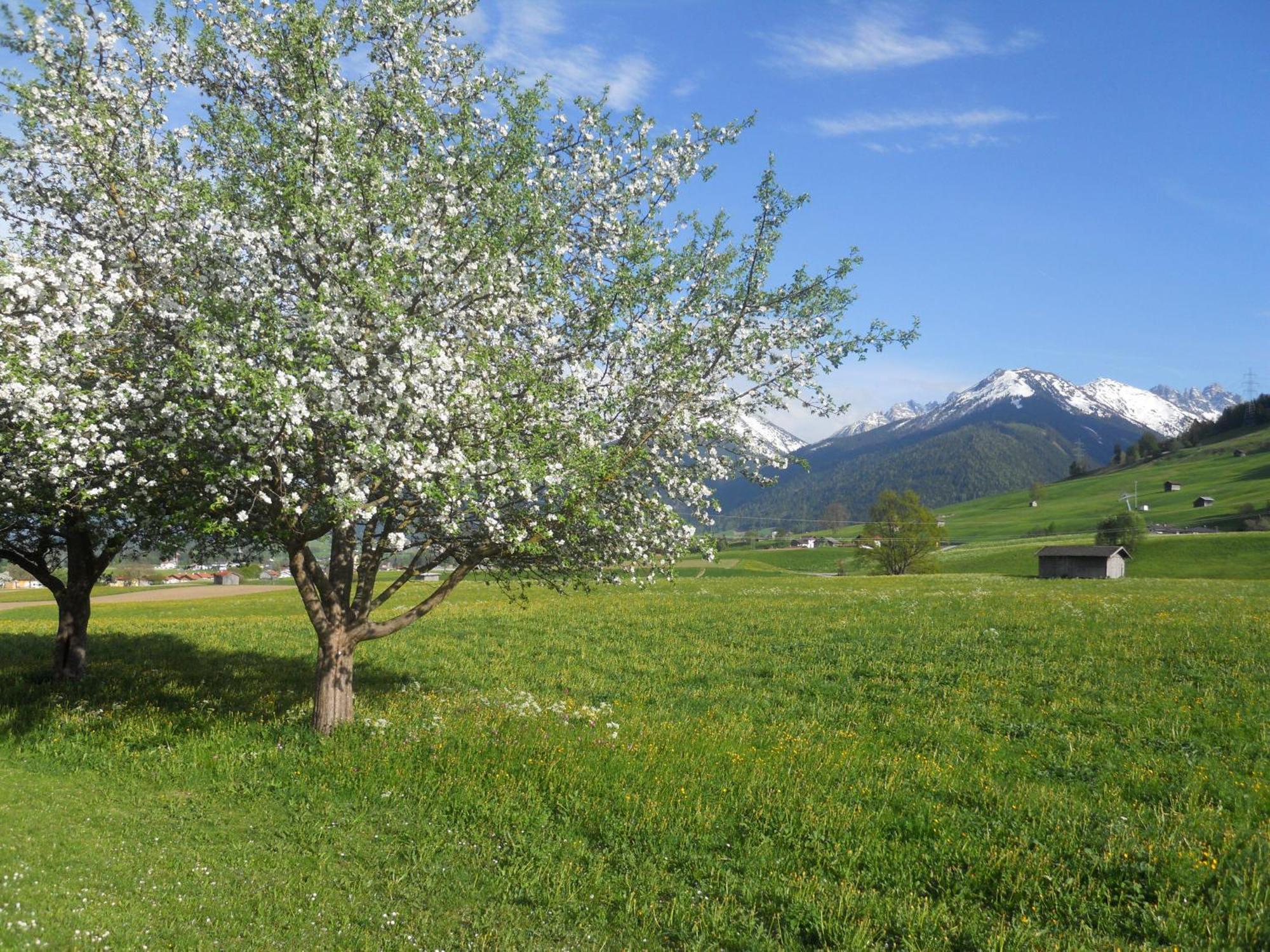 Gaestehaus Weber Oberperfuss Dış mekan fotoğraf