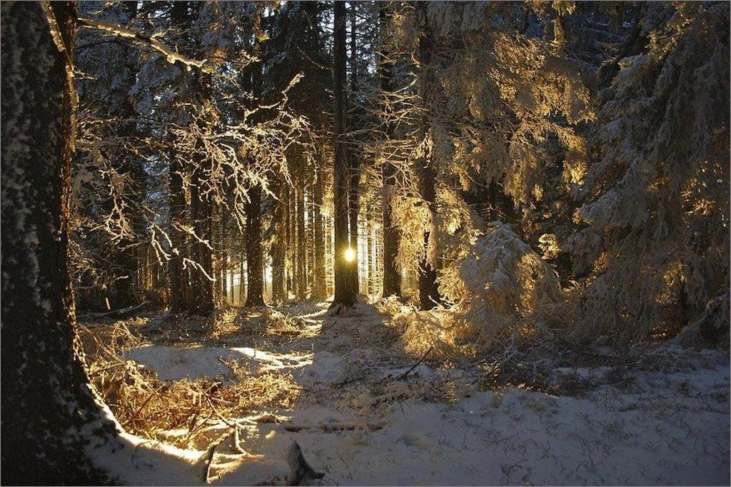 Gaestehaus Weber Oberperfuss Dış mekan fotoğraf